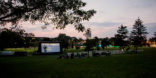 Warm Summer Nights & a Movie in the Park