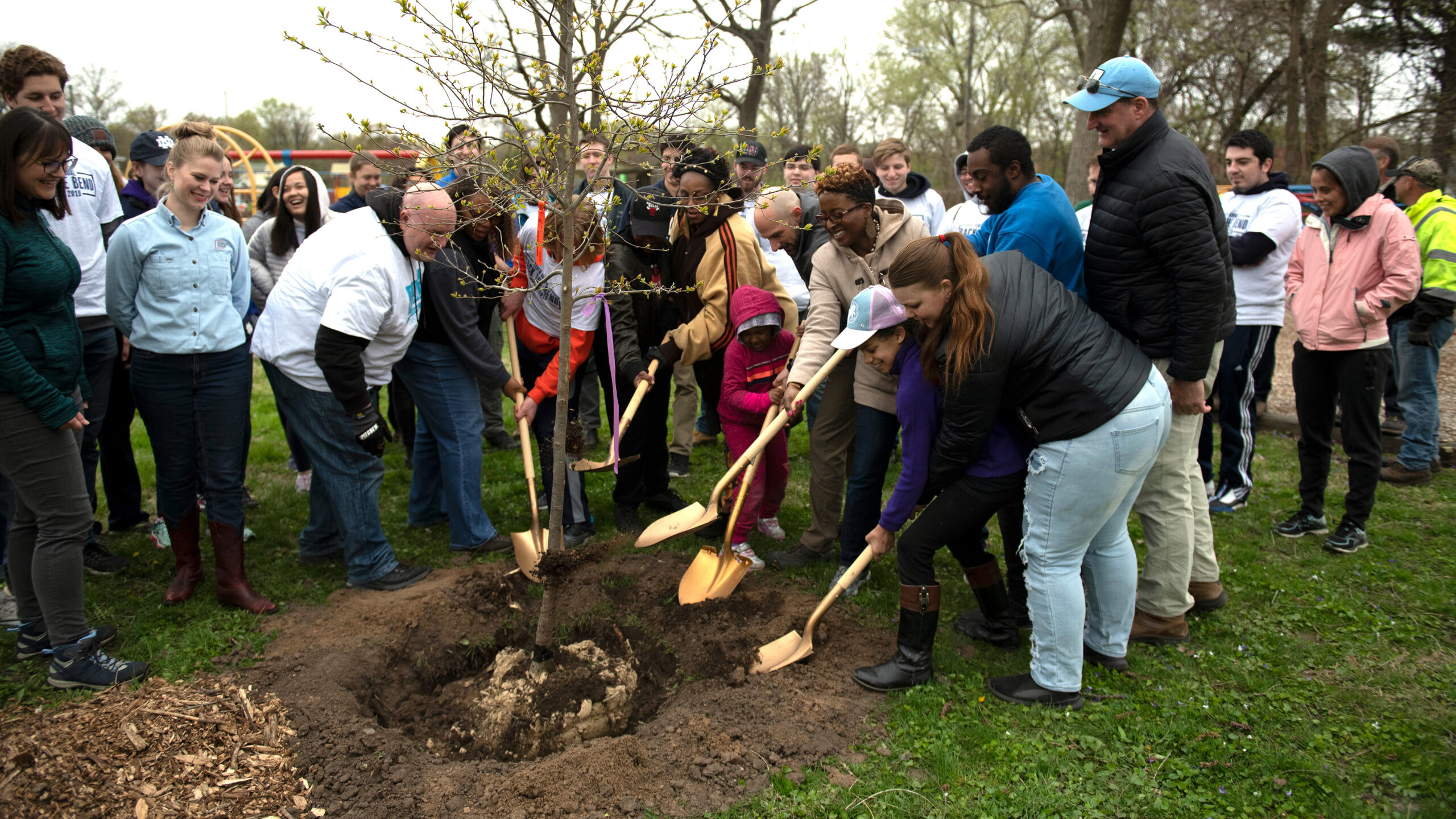 Arbor Day SBVPA