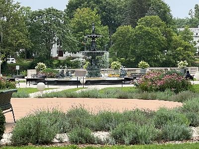 VPA Garden Club- Spring and Summer
