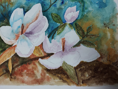 Watercolor Class at Rum Village Nature Center